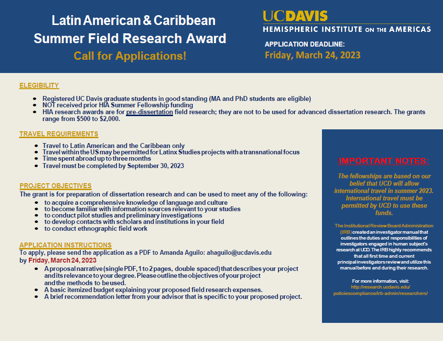 Flyer for Summer Fellowship
