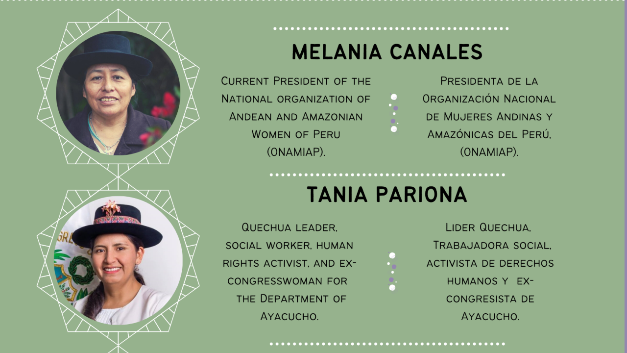 Envisioning Peru's New Constitution: A Conversation on Gender, Youth, and Indigenous Politics